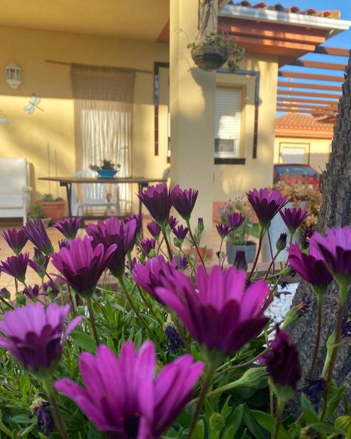 Villa Mandarina Riumar Esterno foto
